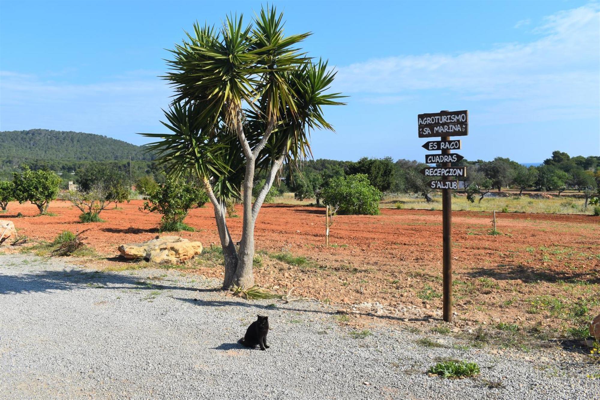Agroturismo Sa Marina - Adults Only Villa Cala Boix Dış mekan fotoğraf